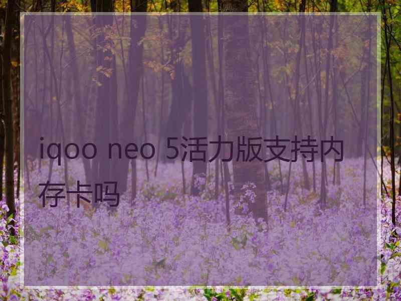 iqoo neo 5活力版支持内存卡吗