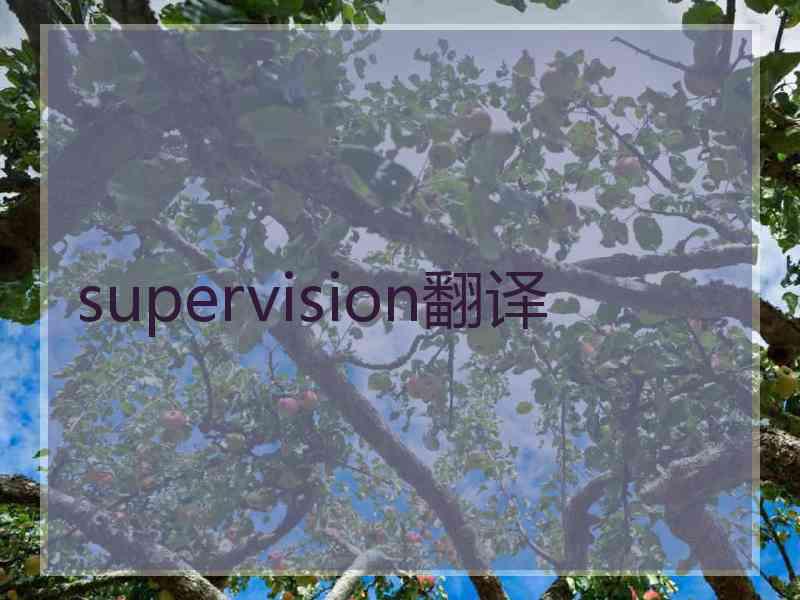 supervision翻译