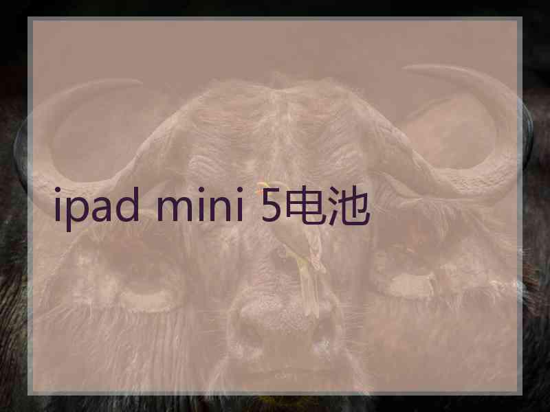 ipad mini 5电池