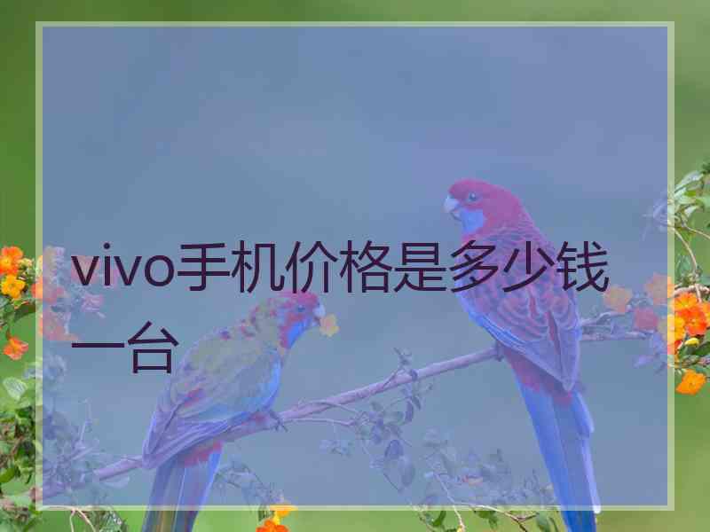 vivo手机价格是多少钱一台