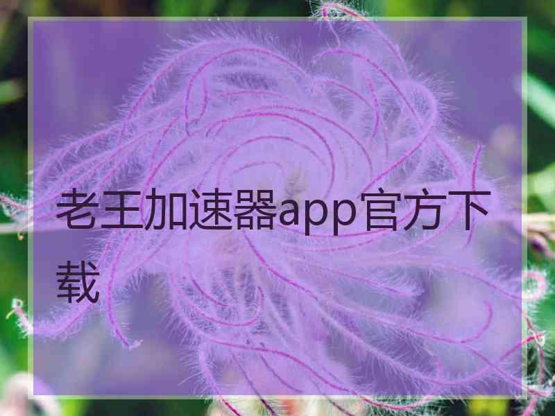 老王加速器app官方下载