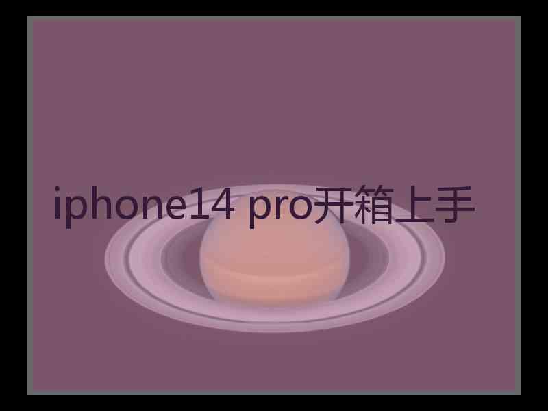 iphone14 pro开箱上手