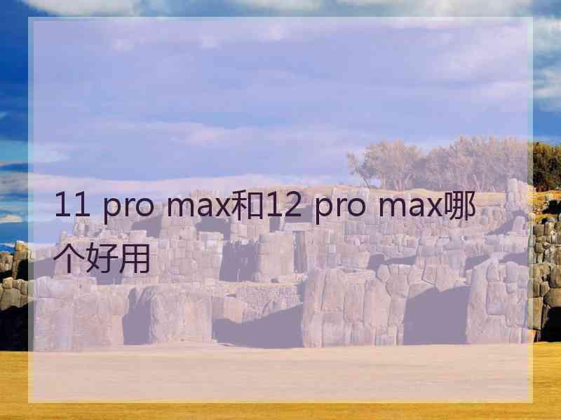 11 pro max和12 pro max哪个好用