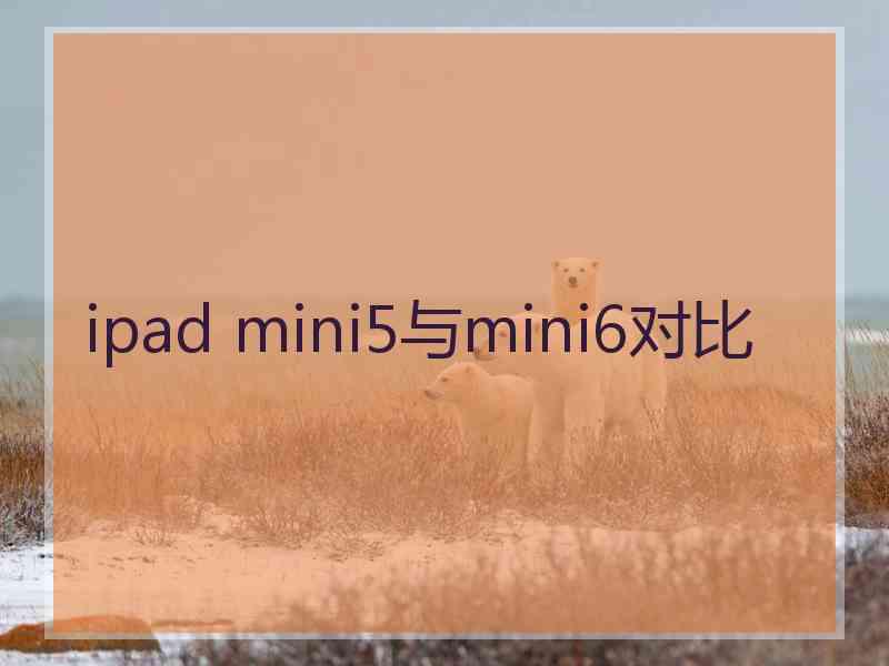 ipad mini5与mini6对比