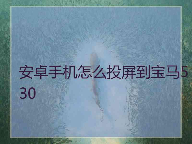 安卓手机怎么投屏到宝马530