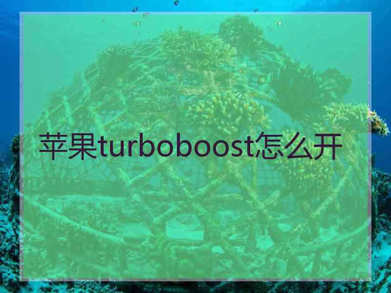 苹果turboboost怎么开