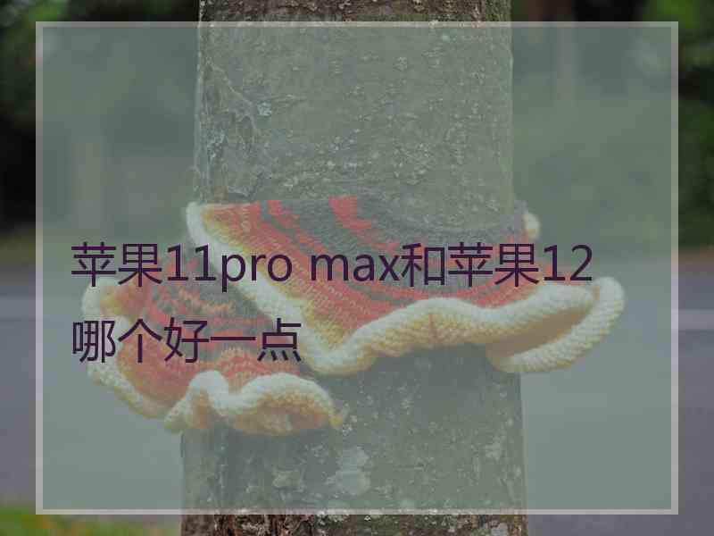 苹果11pro max和苹果12哪个好一点