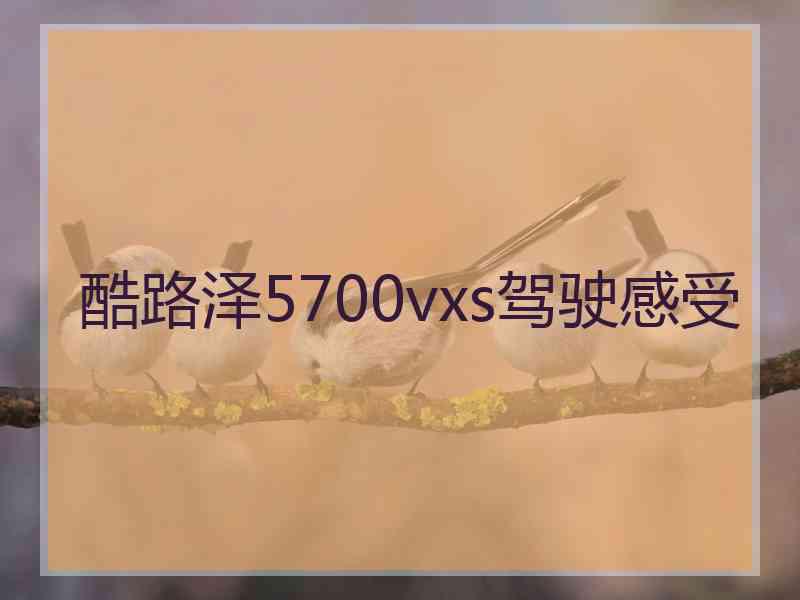 酷路泽5700vxs驾驶感受