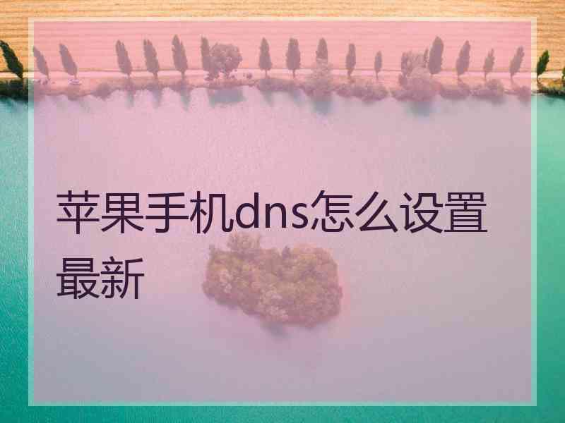 苹果手机dns怎么设置最新