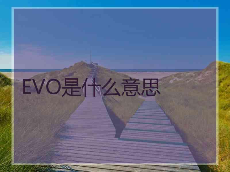 EVO是什么意思