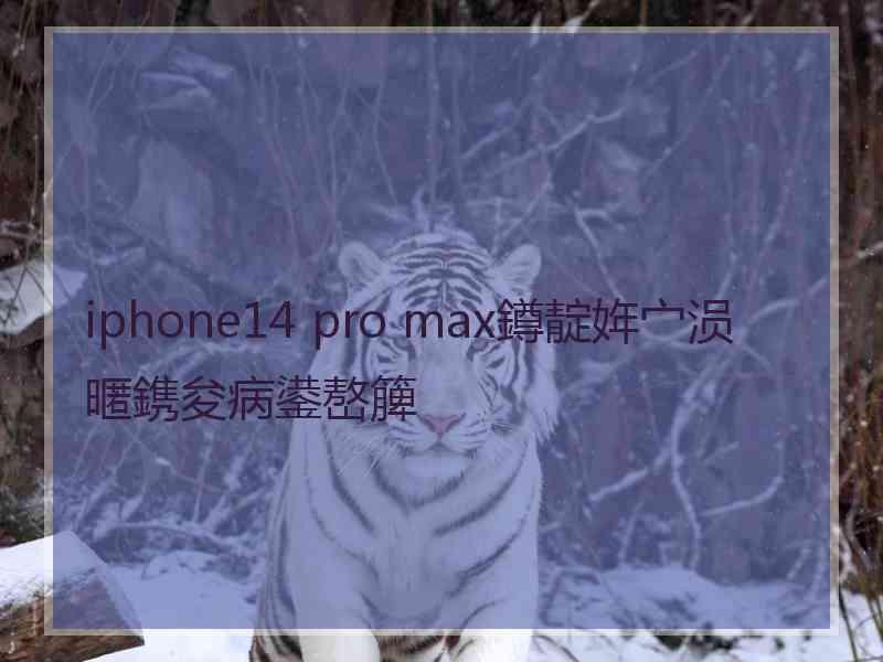 iphone14 pro max鐏靛姩宀涢暱鎸夋病鍙嶅簲