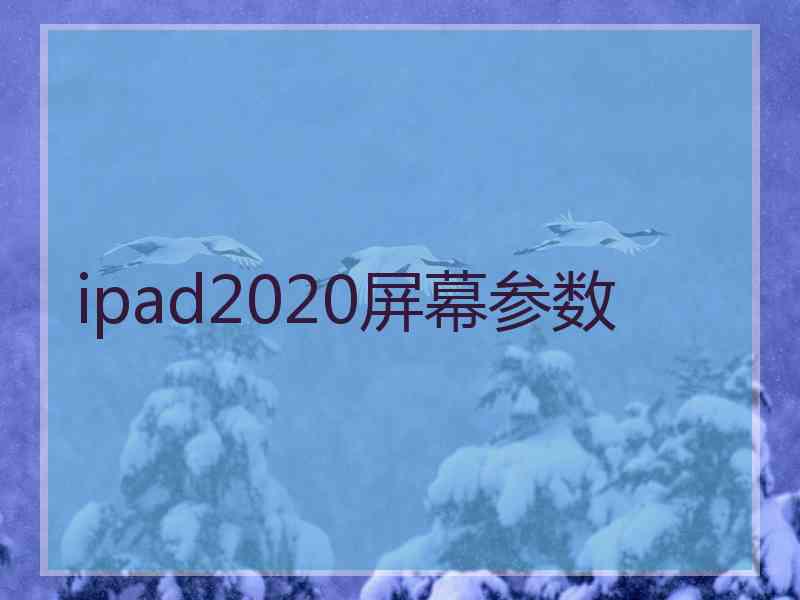 ipad2020屏幕参数