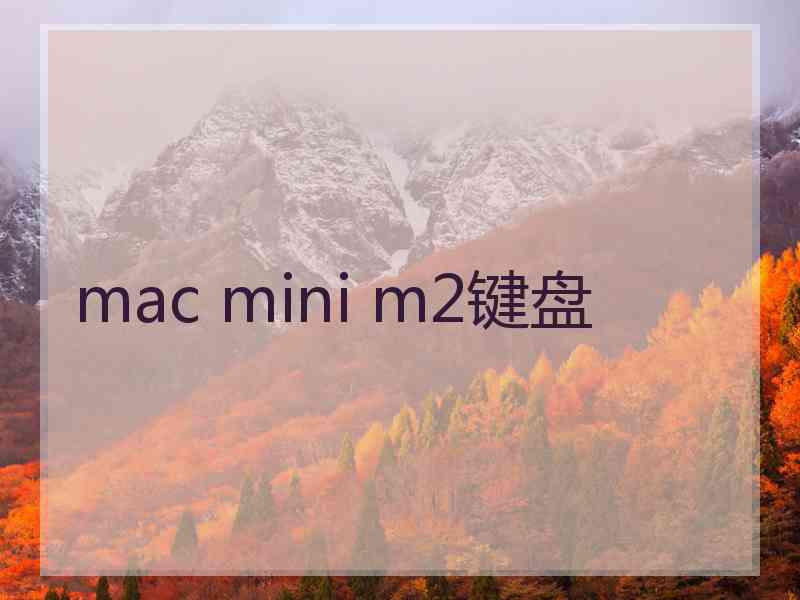 mac mini m2键盘