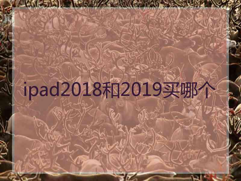 ipad2018和2019买哪个