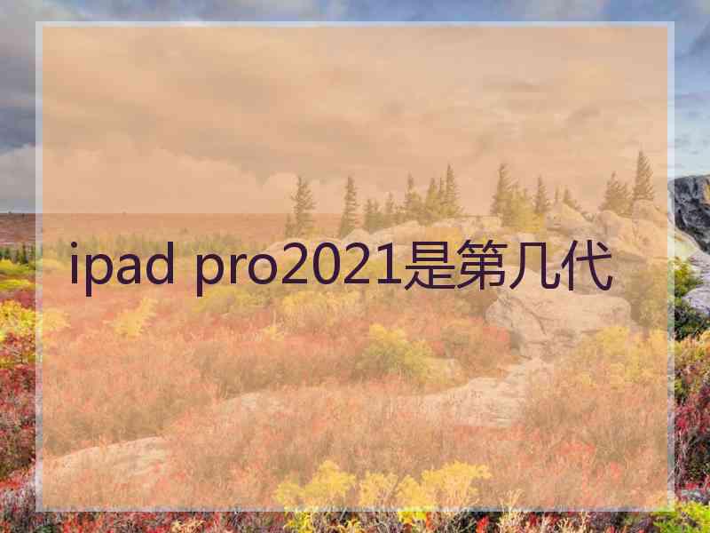 ipad pro2021是第几代