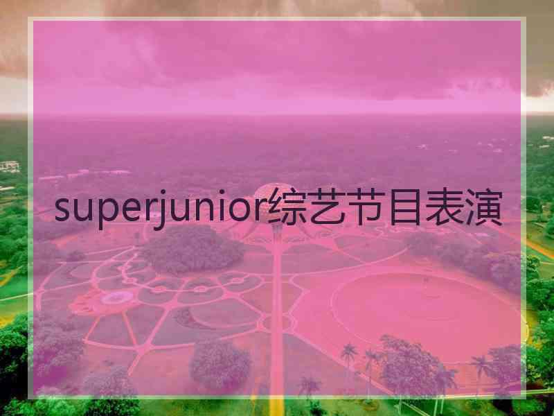 superjunior综艺节目表演