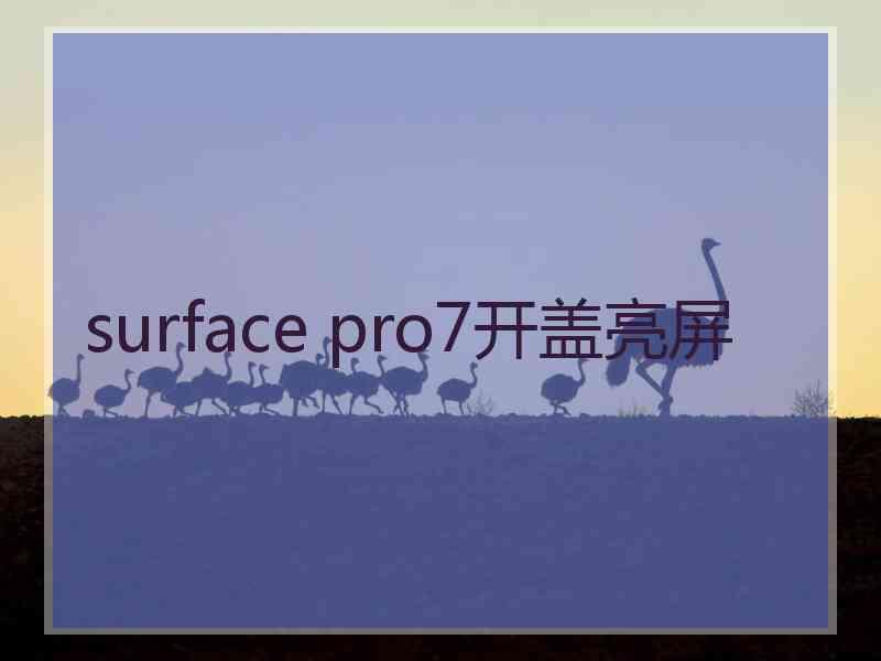 surface pro7开盖亮屏