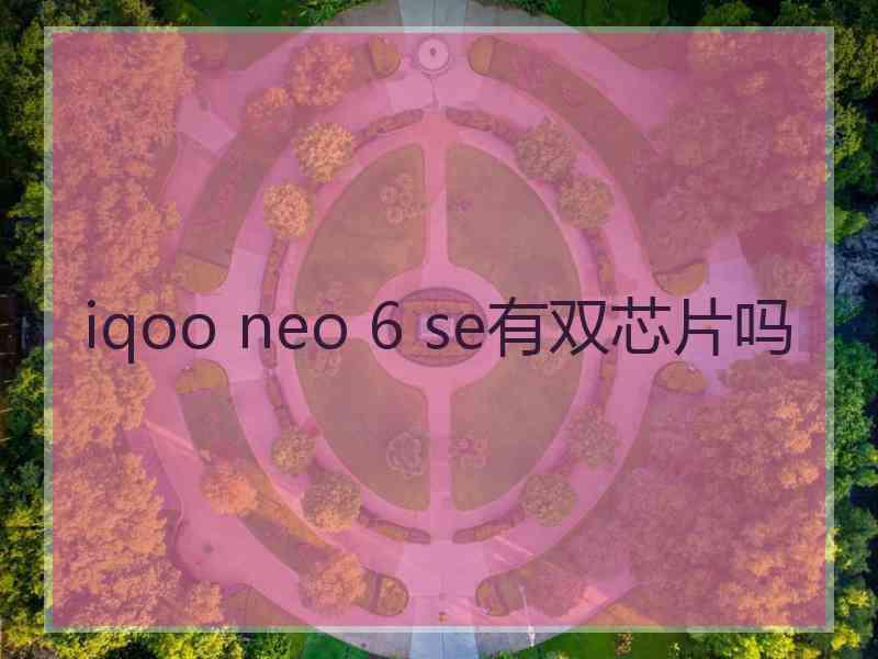 iqoo neo 6 se有双芯片吗