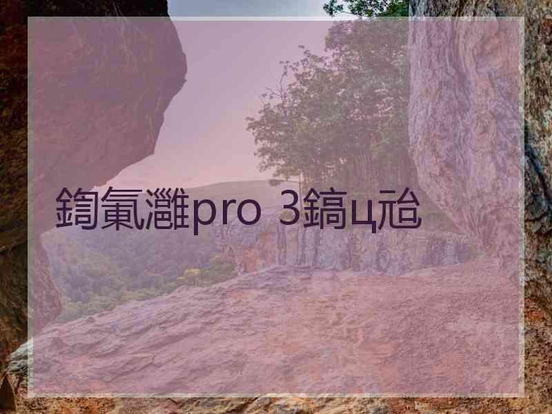 鍧氭灉pro 3鎬ц兘