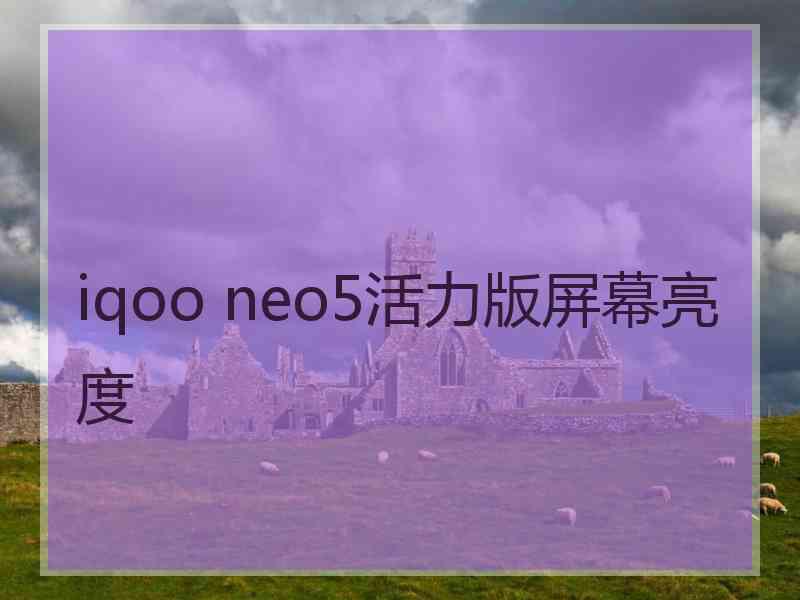 iqoo neo5活力版屏幕亮度