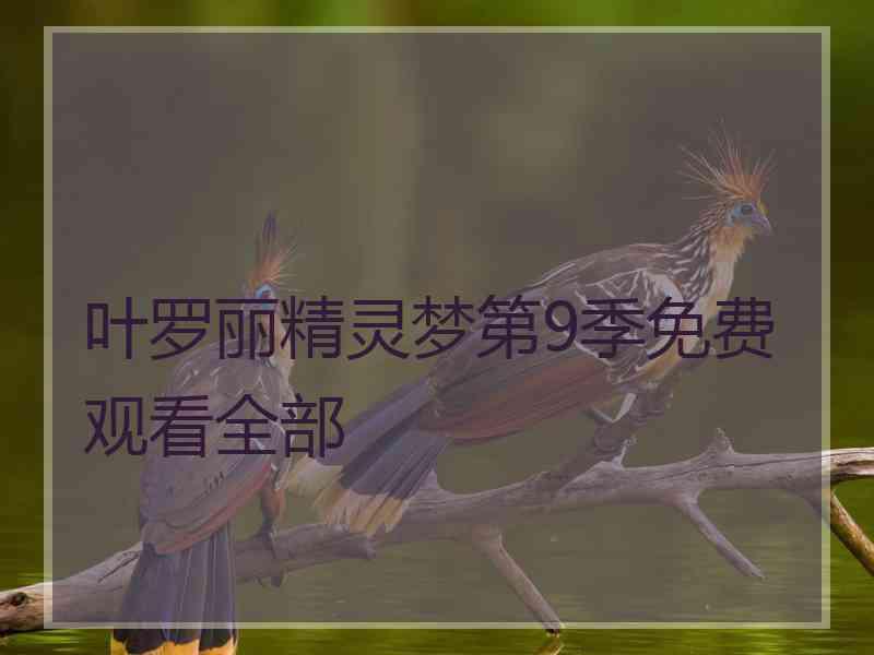 叶罗丽精灵梦第9季免费观看全部