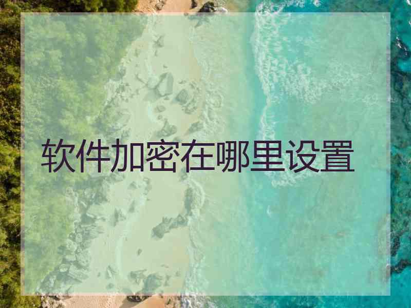 软件加密在哪里设置