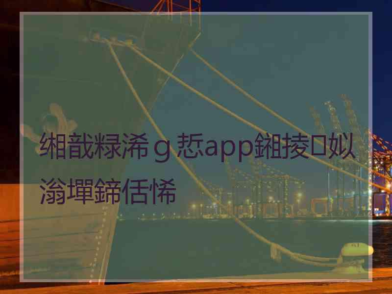 缃戠粶浠ｇ悊app鎺掕姒滃墠鍗佸悕