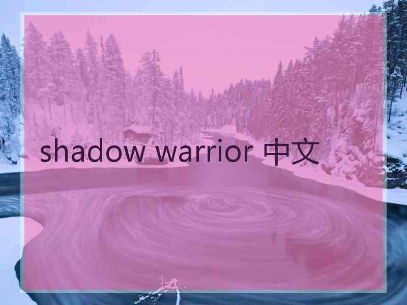 shadow warrior 中文