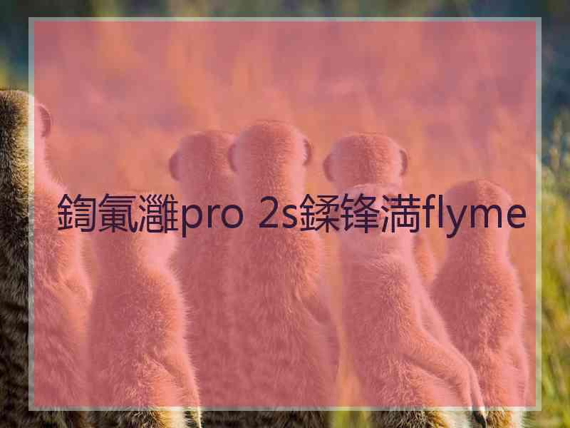 鍧氭灉pro 2s鍒锋満flyme