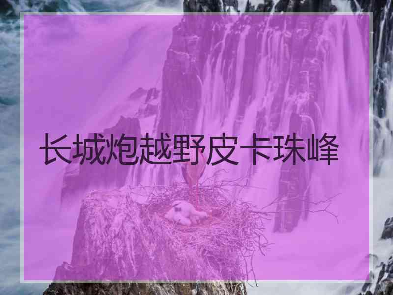 长城炮越野皮卡珠峰