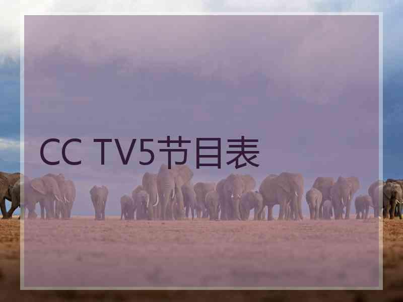 CC TV5节目表