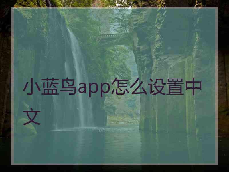 小蓝鸟app怎么设置中文