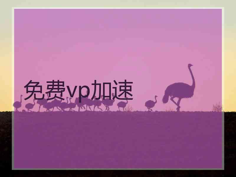 免费vp加速