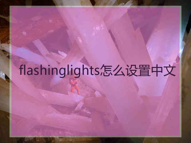 flashinglights怎么设置中文