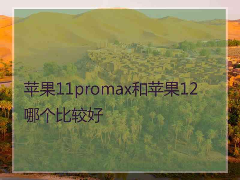 苹果11promax和苹果12哪个比较好