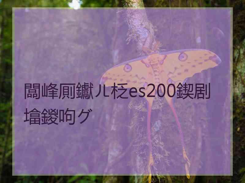 闆峰厠钀ㄦ柉es200鍥剧墖鍐呴グ