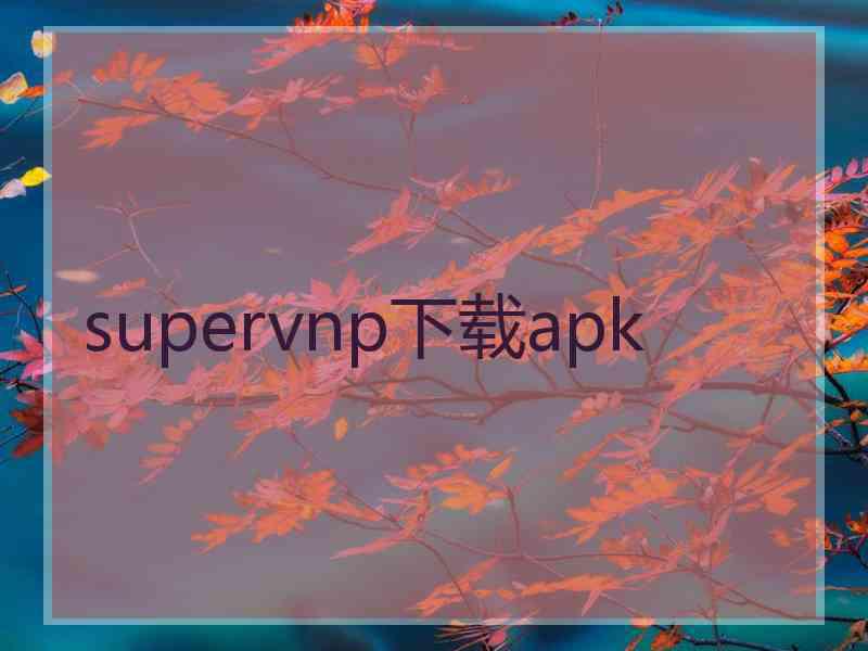 supervnp下载apk