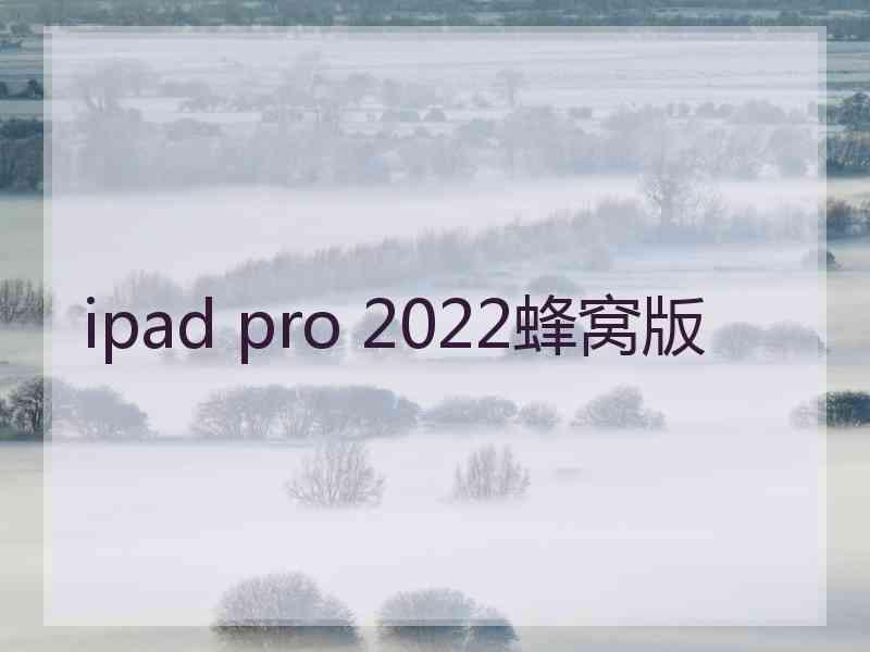 ipad pro 2022蜂窝版