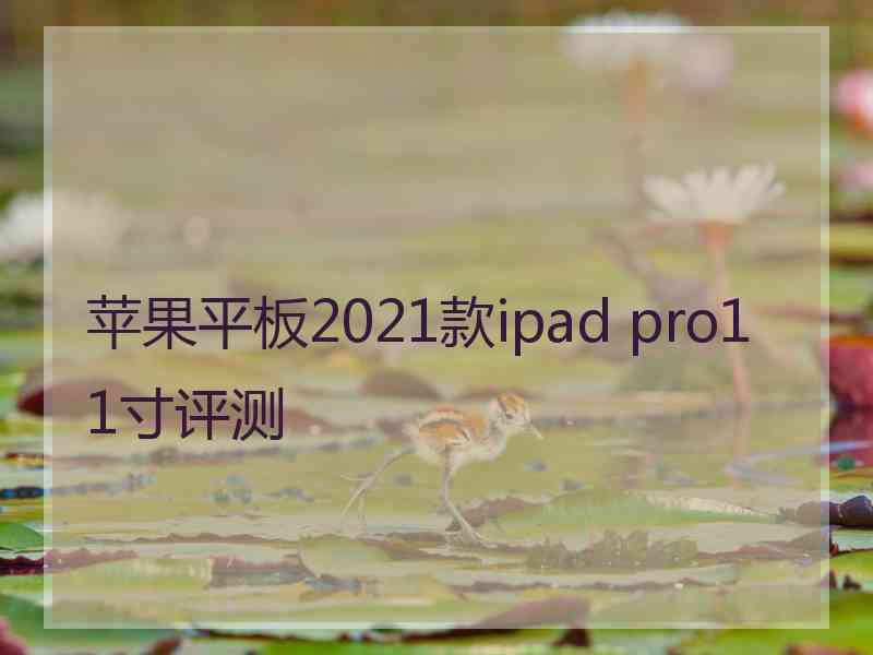 苹果平板2021款ipad pro11寸评测