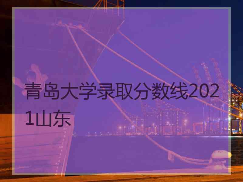 青岛大学录取分数线2021山东