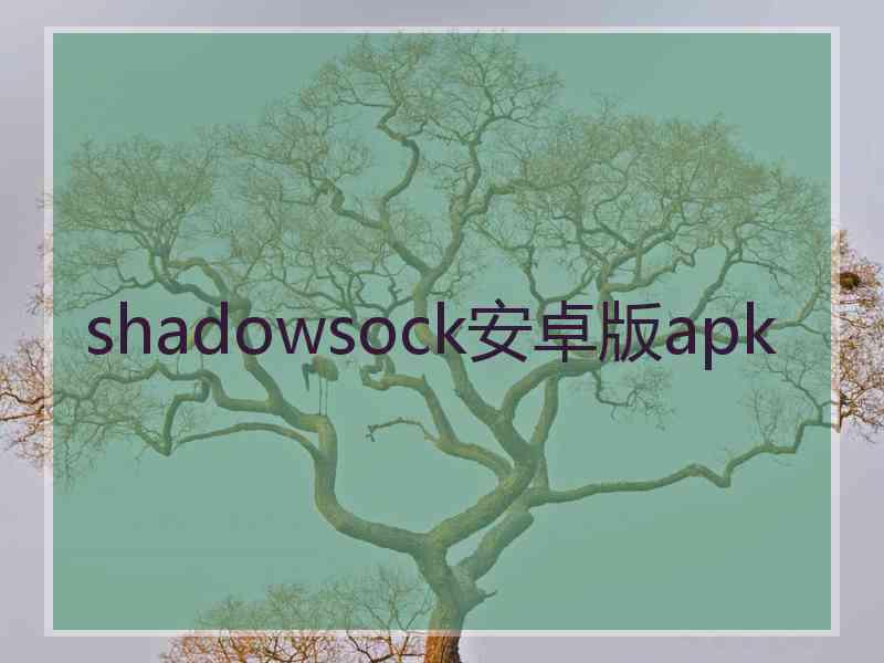 shadowsock安卓版apk