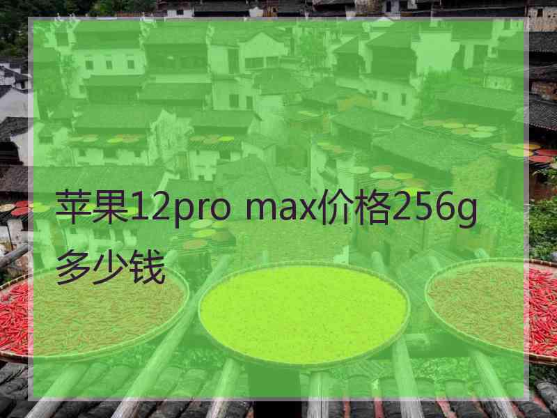 苹果12pro max价格256g多少钱