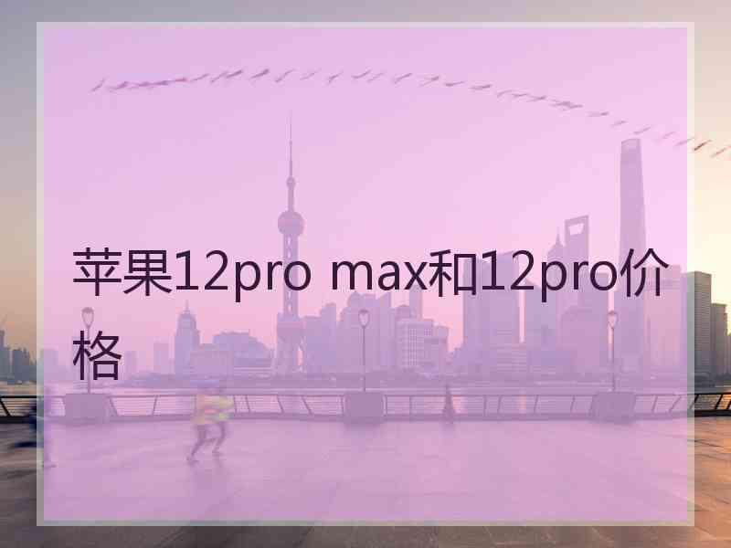 苹果12pro max和12pro价格