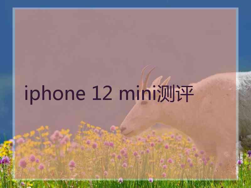 iphone 12 mini测评