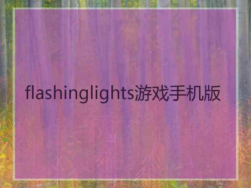 flashinglights游戏手机版