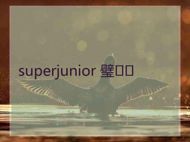 superjunior 璧