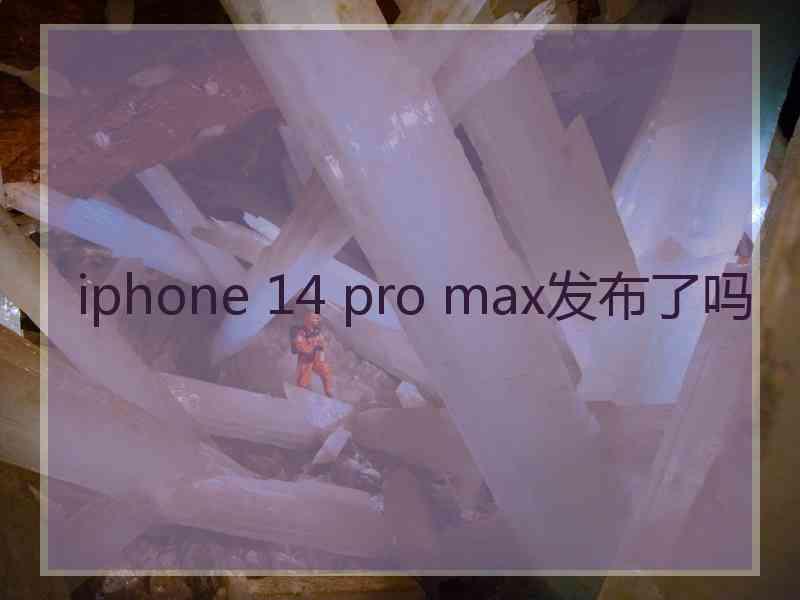 iphone 14 pro max发布了吗