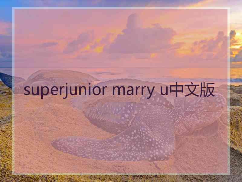 superjunior marry u中文版