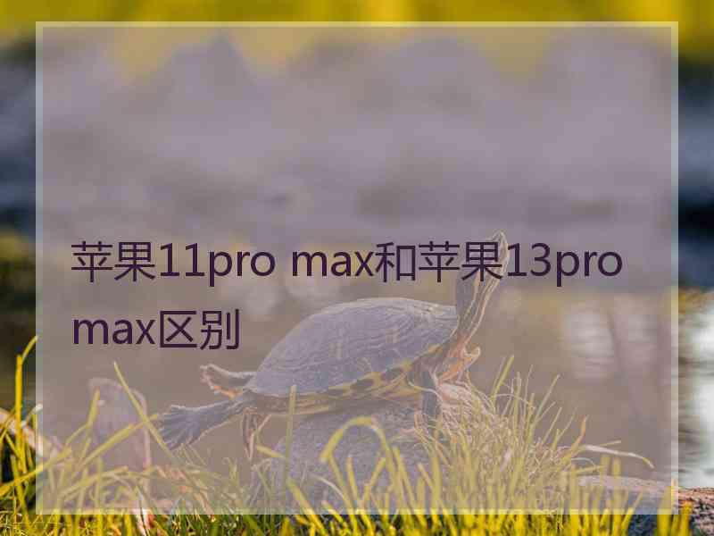 苹果11pro max和苹果13promax区别