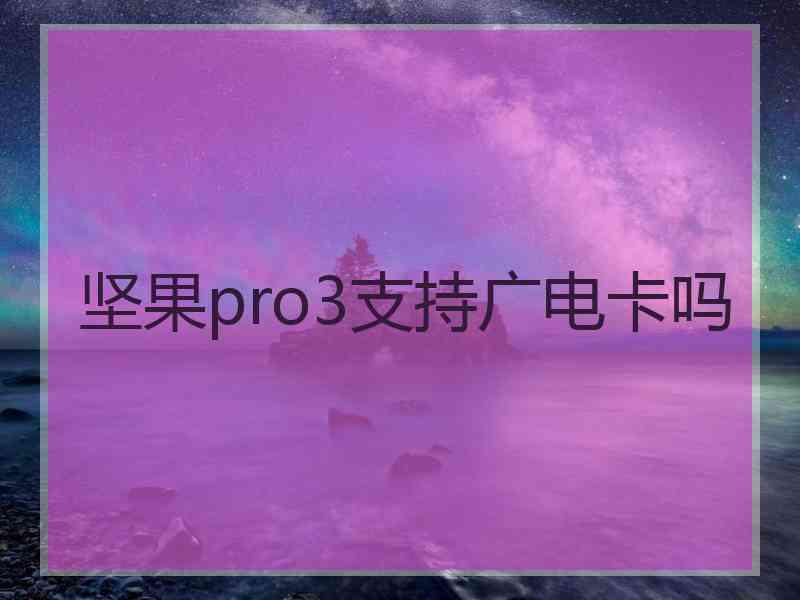 坚果pro3支持广电卡吗